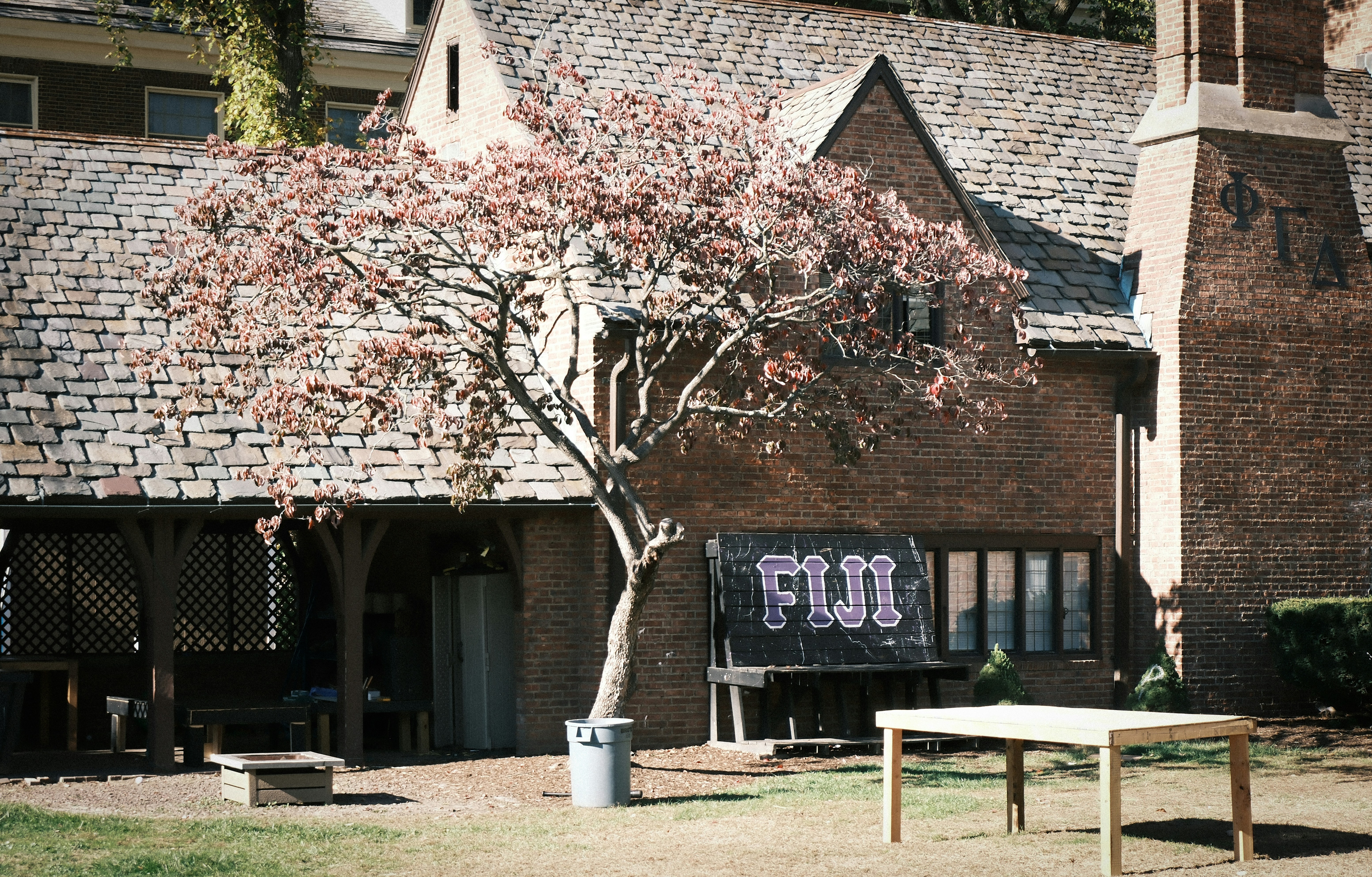 Blooming tree in front of a classic brick college building in spring